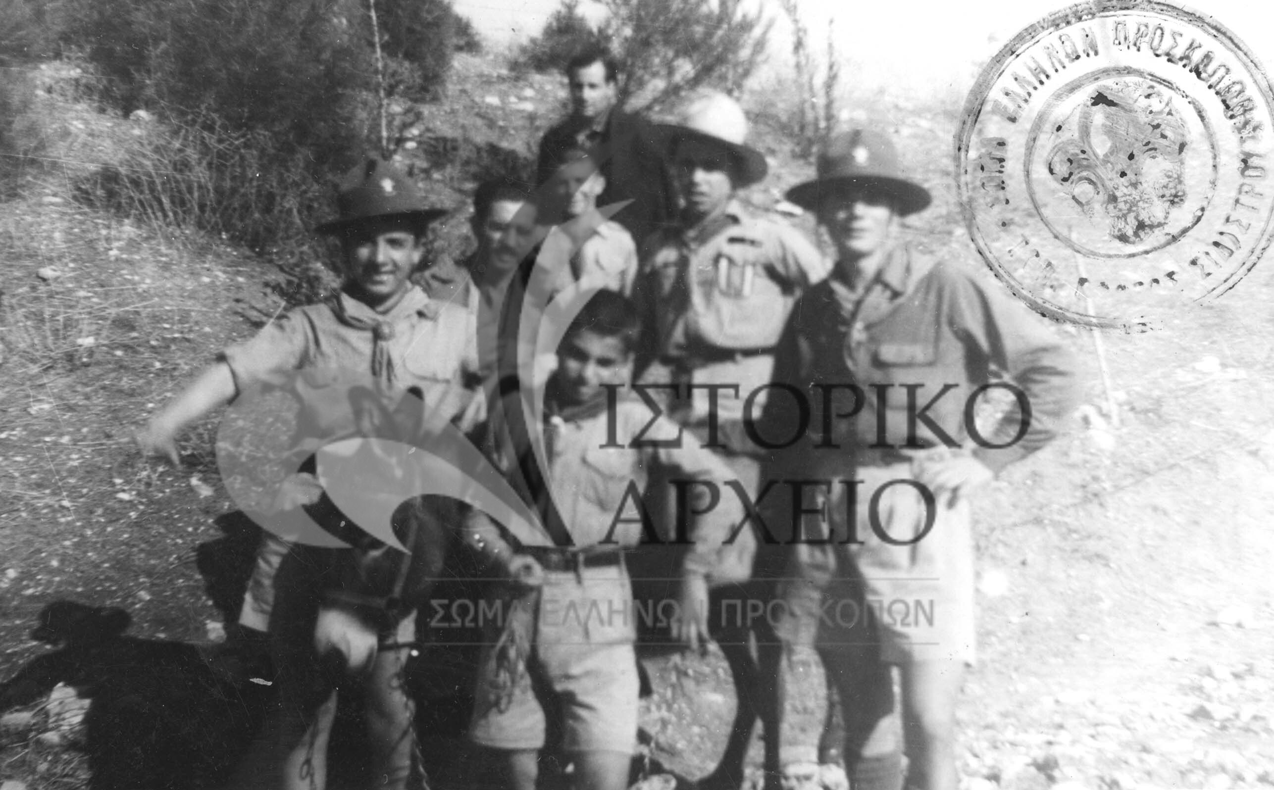 Πρόσκοποι από το Σιδηρόκαστρο Σερρών μεταφέρουν με μουλάρι δώρα σε στρατιώτες ακριτικών φυλακίων το 1948.