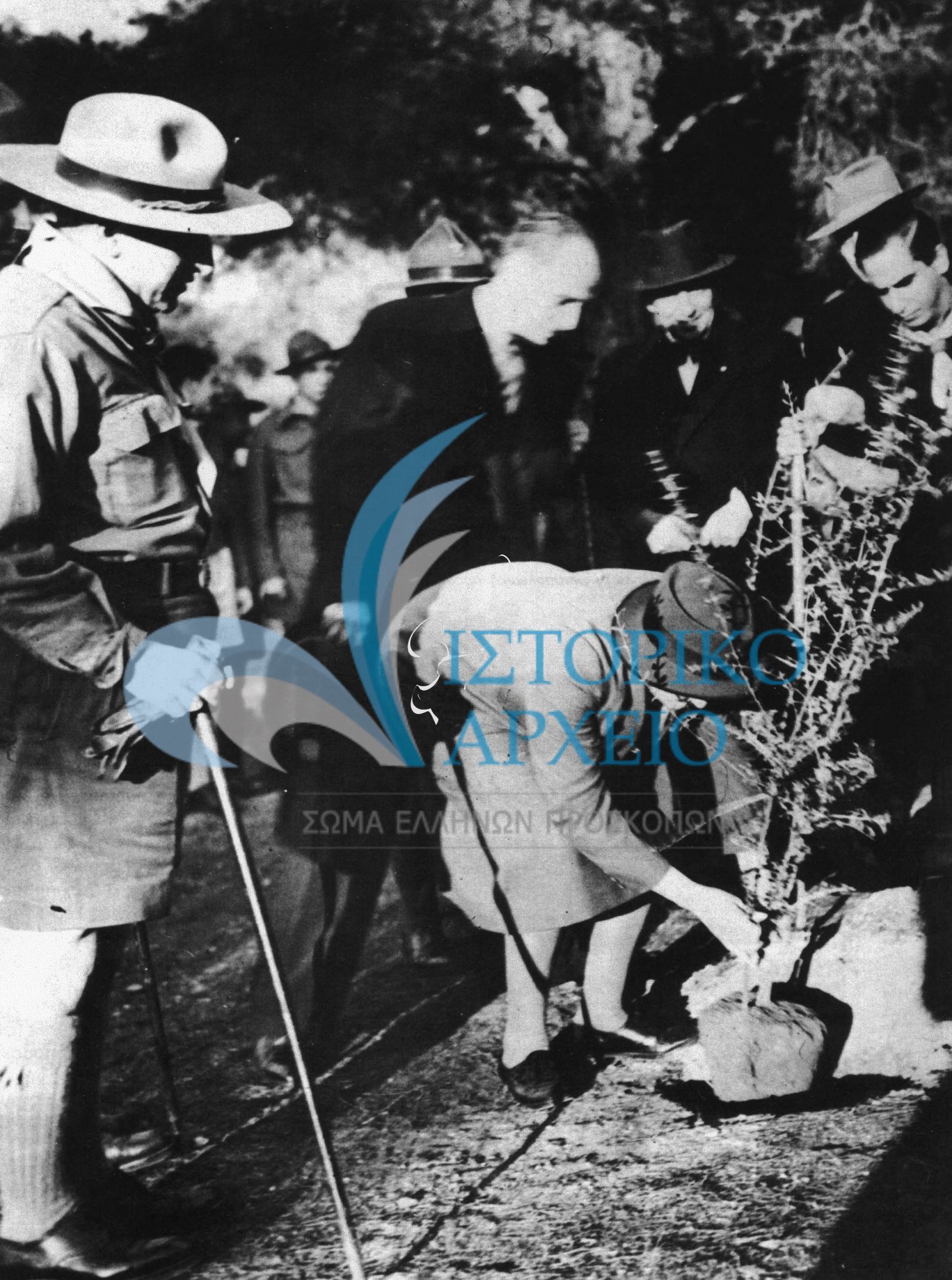 Η αρχιοδηγός Λαίδη Όλαφ Μπέιντεν Πάουελ φυτεύει ελιά στο Προσκοπικό Κέντρο Πύργου Βασιλίσσης το 1948. Πίσω της ο Παν. Κανελλόπουλος.