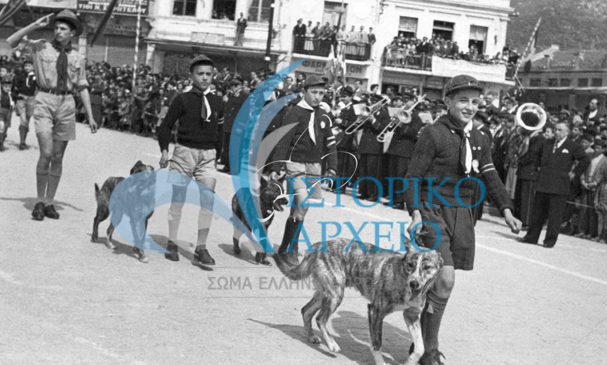Τα λυκόπουλα της Ξάνθης στη παρέλαση της 25ης Μαρτίου το 1954 μαζί με τα μικρά τους "λυκόπουλα".