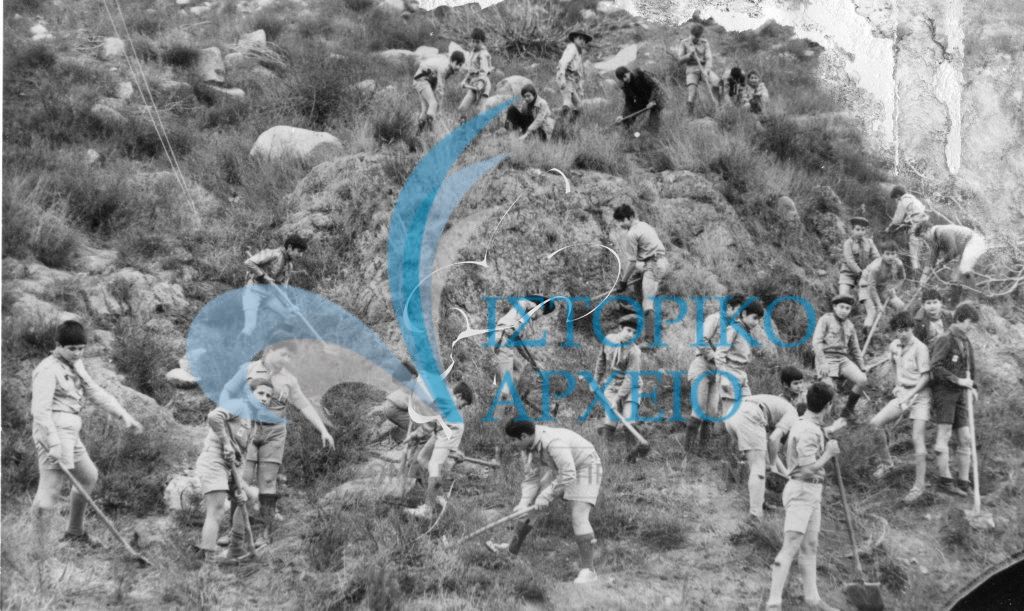 Πρόσκοποι της Βέροιας σε δεντροφύτευση 600 πεύκων στους γύρω λόφους της πόλης το 1977.
