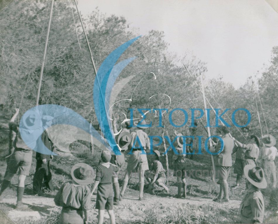 Η 6η Ομάδα Αθηνών σε δράση καλής πράξης για τον καθαρισμό των πεύκων από τις κάμπιες στα περίχωρα της Αθήνα το 1937.