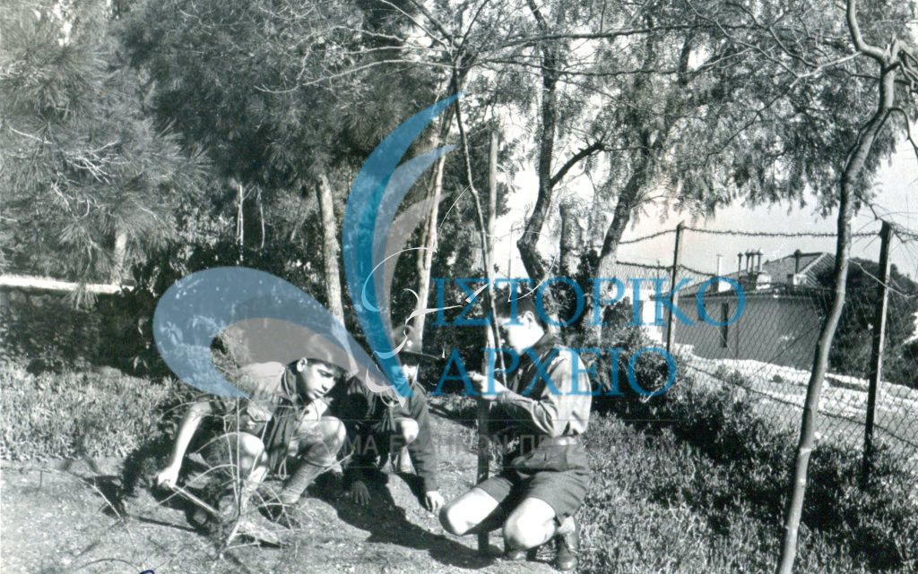 Πρόσκοποι της 14ης Ομάδας Αθηνών σε δεντροφύτευση το 1965.