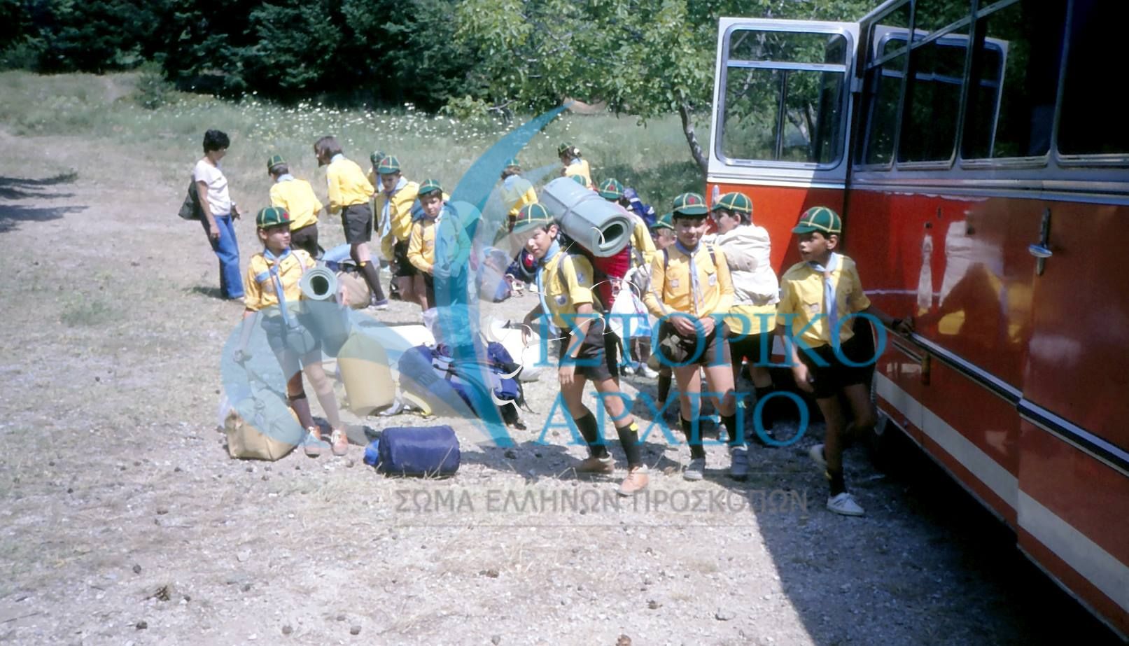 Λυκόπουλα φτάνουν στο Προσκοπικό Κέντρο της Περδικόβρυσης στον Παρνασσό.