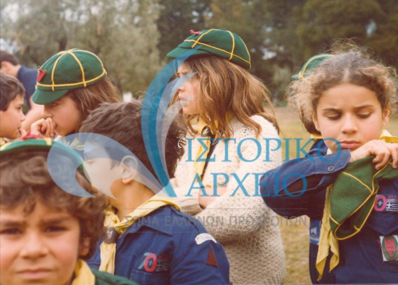 Λυκόπουλα από τις πρώτες μεικτές Αγέλες Λυκοπούλων στην Αθήνα το 1970.