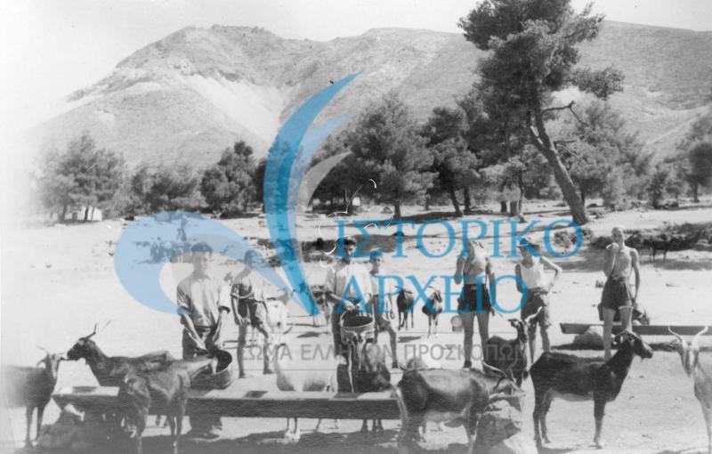 Πρόσκοποι γεμίζουν τις ποτίστρες των ζώων με νερό κατά την διάρκεια κατασκήνωσής τους στο Διόνυσο Αττικής το 1945