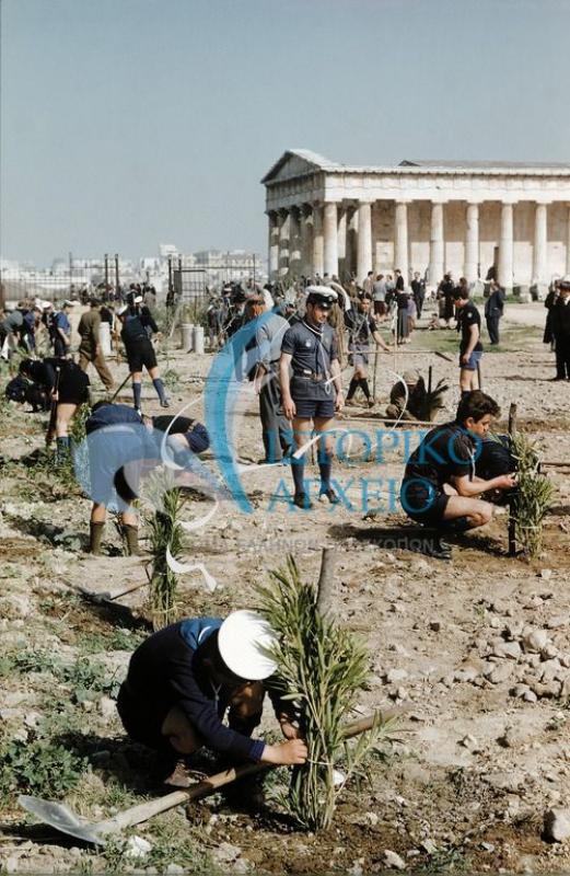 Πρόσκοποι από όλη την Αττική συμμετέχουν στην δεντροφύτευση για τον εξωραϊσμό του Αρχαιολογικού Χώρου του Θησείου, γύρω από τον Ναό του Ηφαίστου, που οργάνωσε το 1955 η Αμερικανική Σχολή Κλασικών Σπουδών.