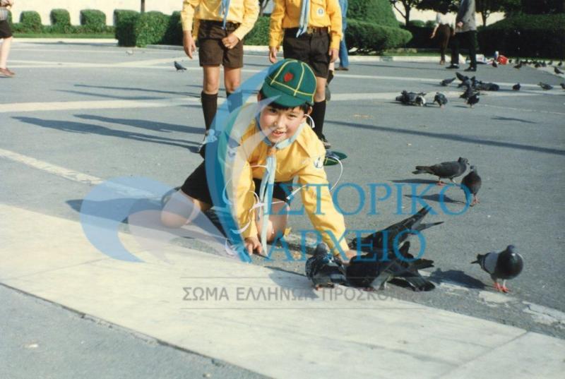 Λυκόπουλο μαζί με περιστέρια στο Σύνταγμα. Φωτογραφία από διαγωνισμό φωτογραφίας βαθμοφόρων το 1996.
