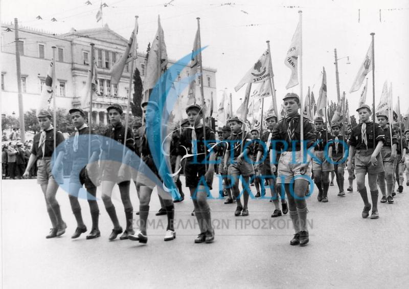 Λυκόπουλα με τα Σηματάκια των Αγελών από την Αττική σε παρέλαση στην Αθήνα για τα 50 χρόνια λειτουργίας του ΣΕΠ τον Απρίλιο του 1960.