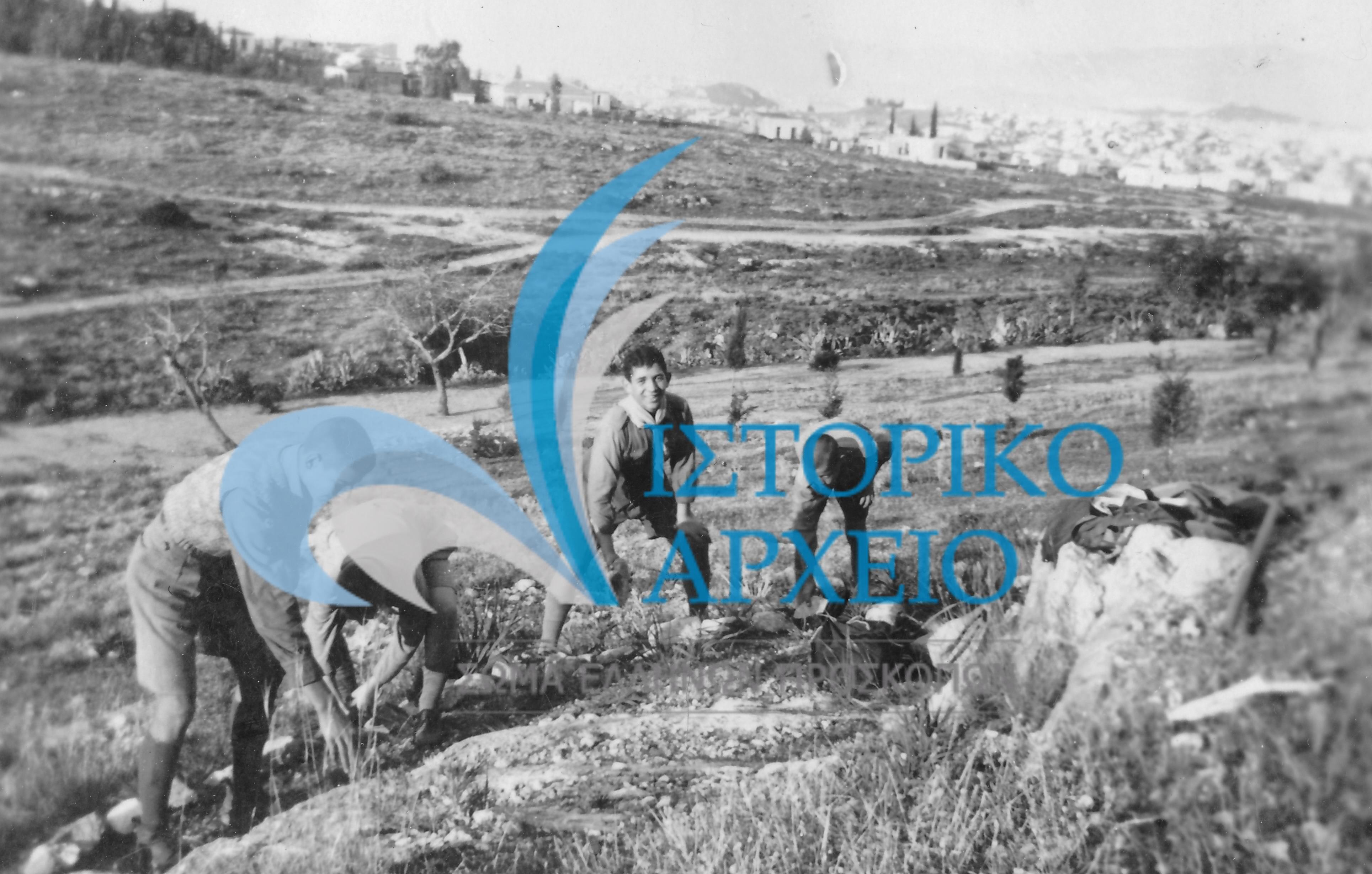 Η 6η Ομάδα Αθηνών σε δράση δεντροφύτευσης στην περιοχή Φιλοπάππου το 1937.