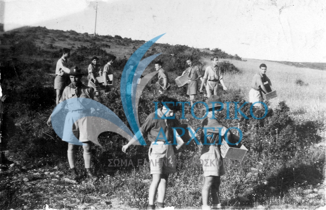 Οι πρόσκοποι της Βέροιας σε δράση καταπολέμησης των ακρίδων στην περιοχή Καλή Παναγιά της Ημαθίας το 1946.