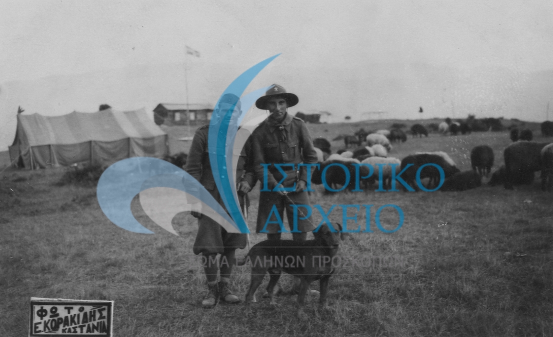 Ο Τοπικός Έφορος Βέροιας Ιορδ. Κουϊκόγλου μαζί με βοσκό και το κοπάδι του μέσα στο χώρο της κατασκήνωσης στις Καστανίες Βερμίου το 1947.