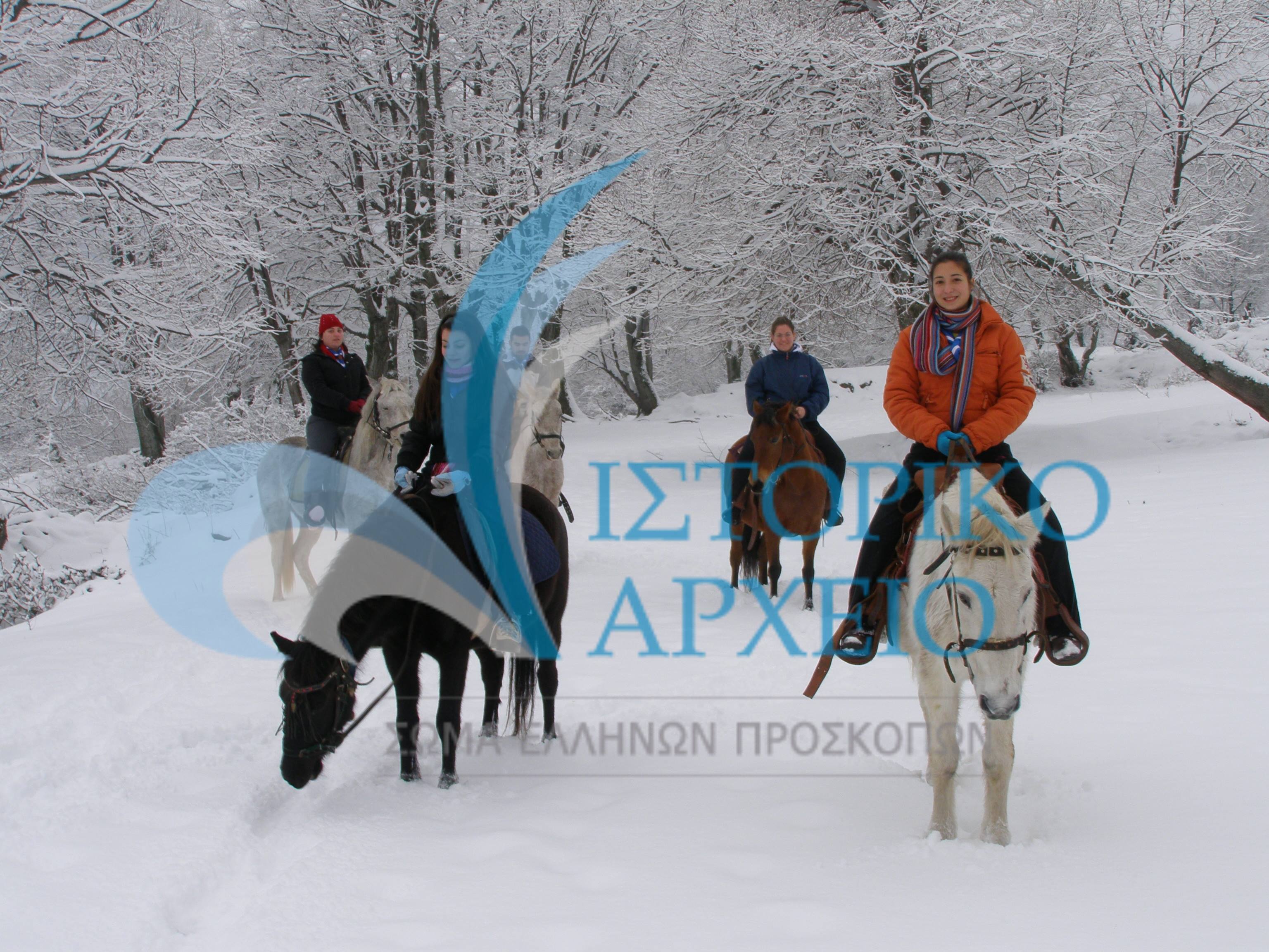 Κοινότητα ανιχνευτών από την Βέροια σε δράση ιππασίας στο χιονισμένο Σκλήθρο Φλώρινας το 2009.