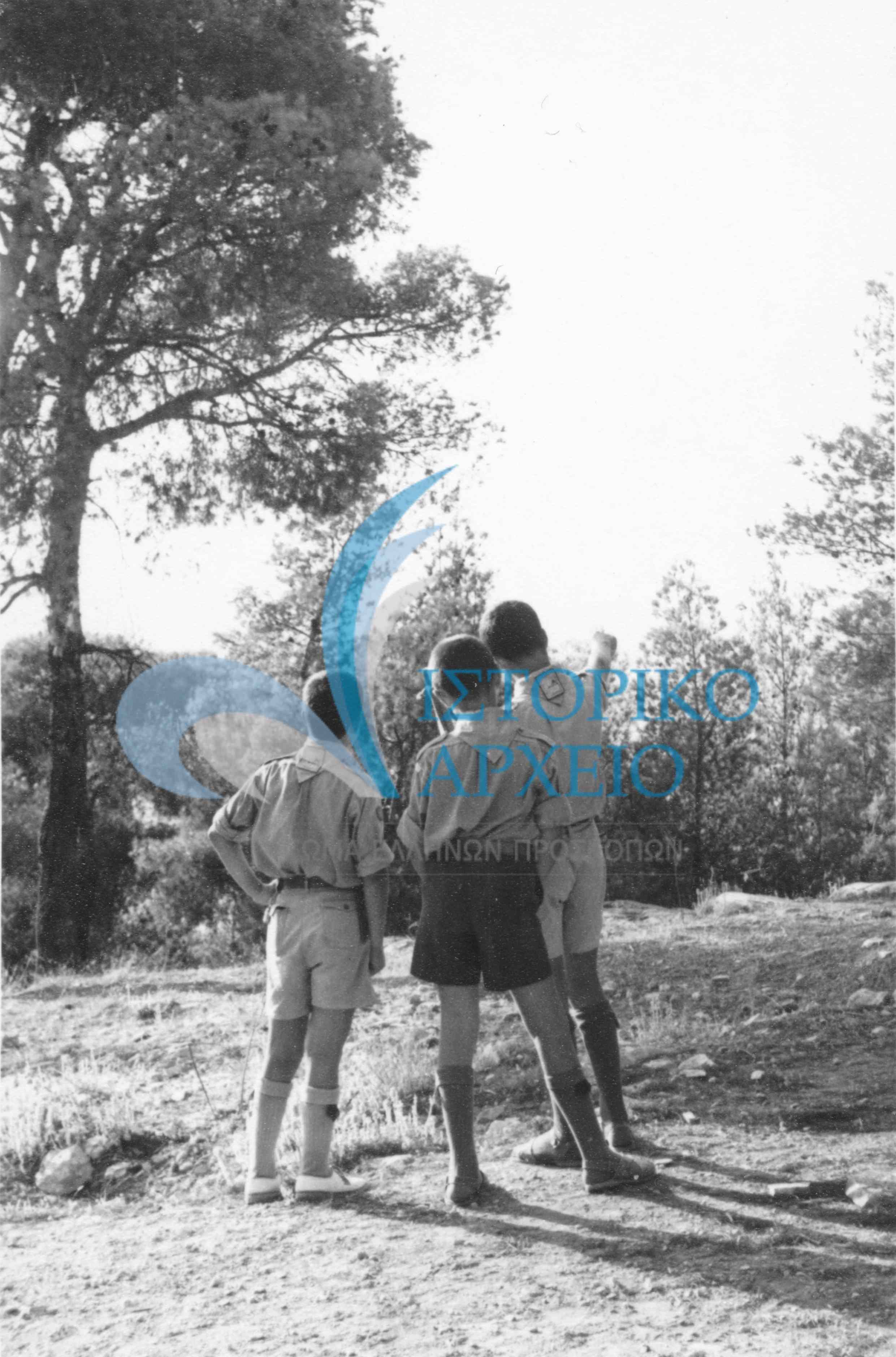 Ενωμοτία από τον Υμηττό σε εκδρομή.