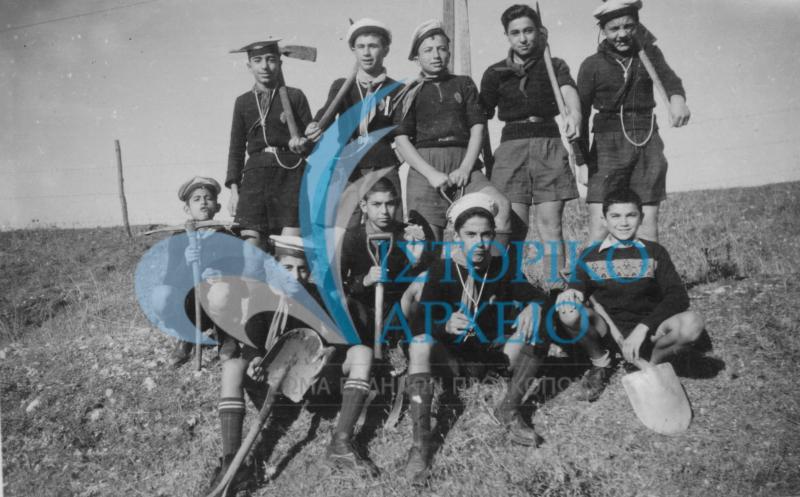 Ναυτοπρόσκοποι της Θεσσαλονίκης σε δράση αναδάσωσης το 1949.