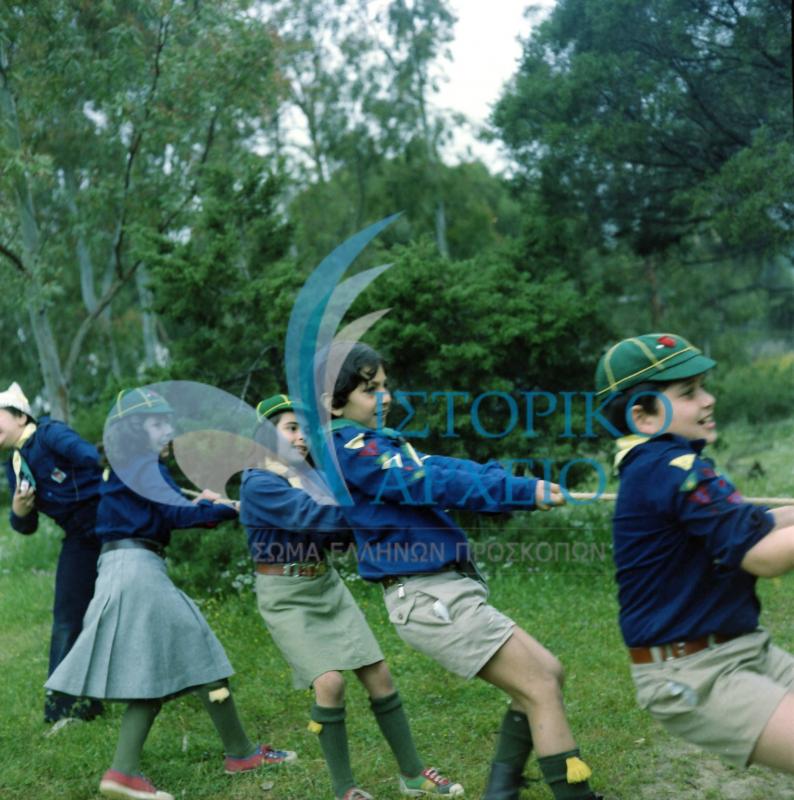 Τα πρώτα κορίτσια λυκόπουλα στην δράση 