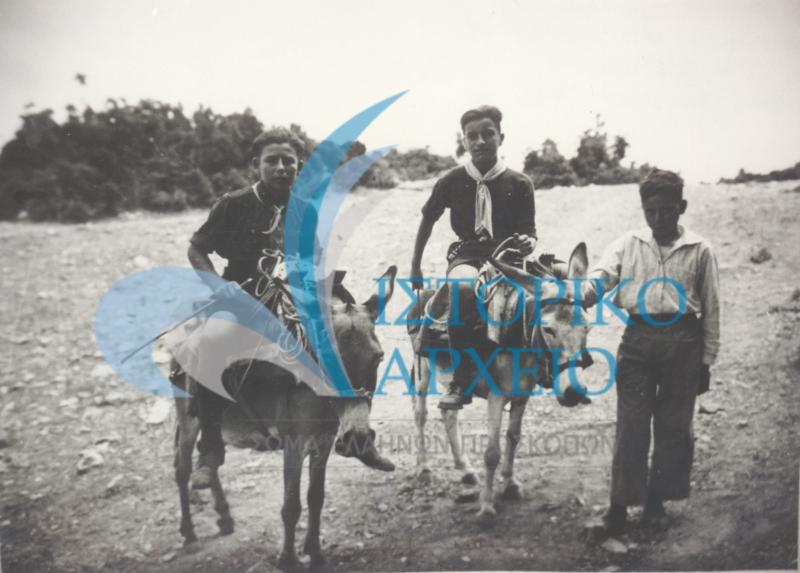 Πρόσκοποι του 1ου Ν/Π Νέου Φαλήρου σε πορεία με γαϊδούρια σε εκδρομή τους στα Κιούρκα (Αφίδνες) το 1935.